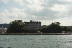 DSC01441