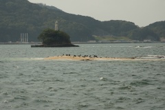 DSC01495